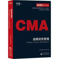 音像战略财务管理优财管理会计研究院 编