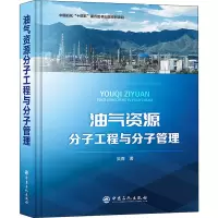 音像油气资源分子工程与分子管理吴青