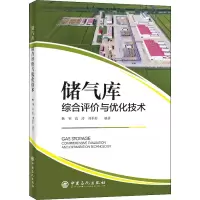 音像储气库综合评价与优化技术杨钊,高涛,刘承婷