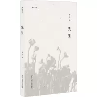 音像先生/湖山艺丛许江