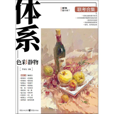 音像体系 色彩静物李家友著