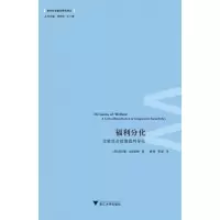 音像福利分化(比较社会政策批判导论)/西方社会建设研究译丛