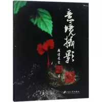 音像意境摄影雁过长空