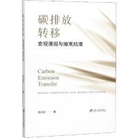 音像碳排放转移(宏观涌现与微观机理)孙立成
