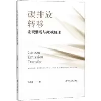 音像碳排放转移(宏观涌现与微观机理)孙立成