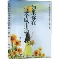 音像如果你在这个城市遇见我伊兵