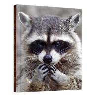 音像浣熊(精)/动物小百科梅利莎·吉什