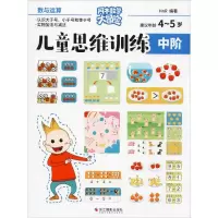音像儿童思维训练 中阶 数与运算HnR