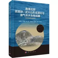 音像南海北部泥底辟/泥火山形成演化与油气及水合物成藏何家雄 等