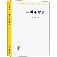 音像法国史/汉译世界学术名著丛书(法)米涅