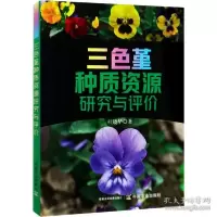 音像三色堇种质资源研究与评价杜晓华