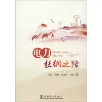 音像电力丝绸之路梁才 等