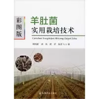 音像彩图版羊肚菌实用栽培技术何培新