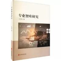 音像专业智库研究王世伟