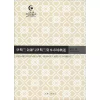 音像伊斯兰金融与伊斯兰资本市场概述/伊斯兰金融丛书黄平