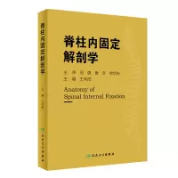 音像脊柱内固定解剖学王向阳