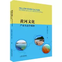 音像黄河文化:产业生态学的观察昝胜锋,赵传新,吴红