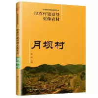 音像把农村建设得更像农村(月坝村)/中国乡村建设系列丛书陈晓