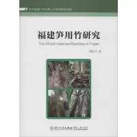 音像福建笋用竹研究陈松河