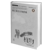 音像湖北省古生物图册(6植物)(精)朱厚伦、马元编