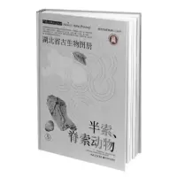 音像湖北省古生物图册(5半索脊索动物)(精)朱厚伦、马元编