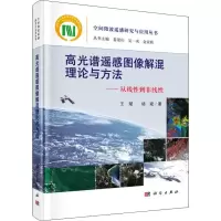音像高光谱遥感图像解混理论与方法——从线到非线王斌,杨斌