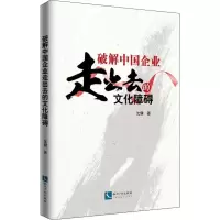 音像破解中国企业走出去的文化障碍沈健