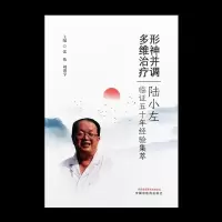 音像形神并调 多维治疗:陆小左临五十年经验集萃张伟刘洪宇