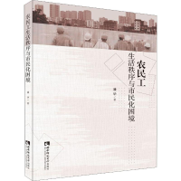 音像农民工生活秩序与市民化困境潘华