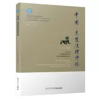 音像中国—东盟律评(第九辑)张晓君
