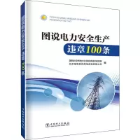 音像图说电力安全生产违章100条作者