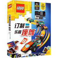 音像订制你的座驾(精)波兰AMEET工作室