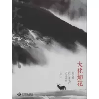 音像大化如花(贾又福以石观化的心灵来历)闻章
