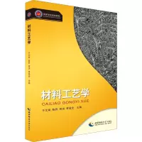 音像材料工艺学丁文斌 等 编
