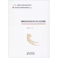 音像网络经济中的竞争行为与竞争策略邢宏建