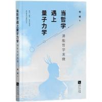 音像当哲学遇上量子力学:潜能哲学发微何锐 著