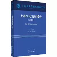 音像上海文化发展报告(2020)作者