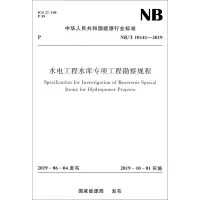 音像水电工程水库专项工程勘察规程 NB/T 10141-2019能源局