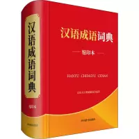 音像汉语成语词典 缩印本汉语大字典编纂处
