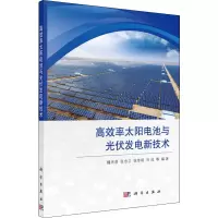 音像高效率太阳电池与光伏发电新技术作者