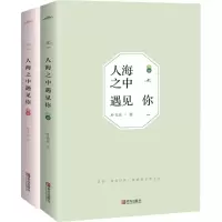 音像人海之中遇见你(上、下册)叶非夜