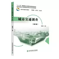 音像城市交通调查(第2版)魏丽英