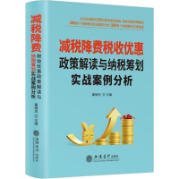 音像减税降费税收优惠政策解读与纳税筹划实战案例分析翟继光