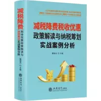 音像减税降费税收优惠政策解读与纳税筹划实战案例分析翟继光