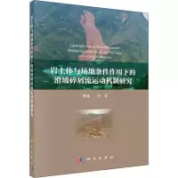 音像岩土体与场地条件作用下的滑坡碎屑流运动机制研究樊晓一 等