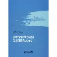音像海峡西岸经济区发展报告 2019洪永淼