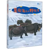 音像星宿海上的野牦牛袁博