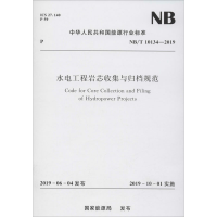 音像水电工程岩芯收集与归档规范 NB/T 10134-2019能源局