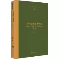 音像中国虚拟土地研究郭珊