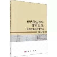 音像现代能源经济体系建设:体制改革与政策组合郑新业
